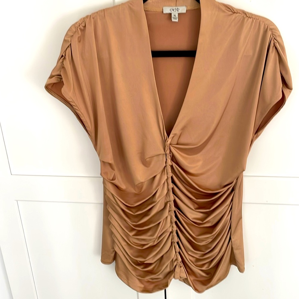 Tan Dressy Blouse